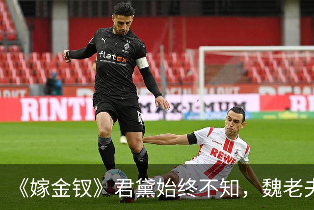 《嫁金钗》君黛始终不知，魏老夫人认下魏娆，是因为她放的那把火