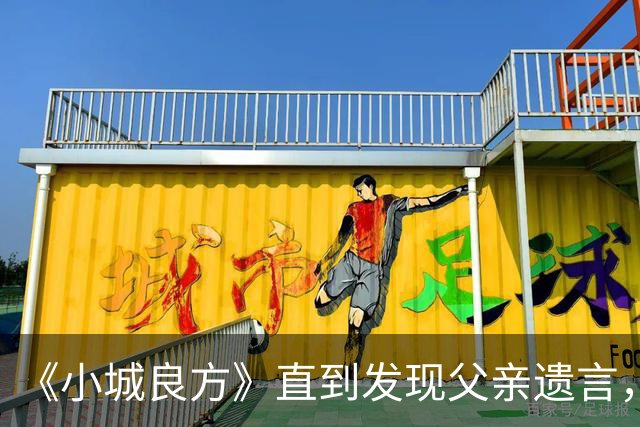 《小城良方》直到发现父亲遗言，艾辰才知，刘铮亮求婚的真相