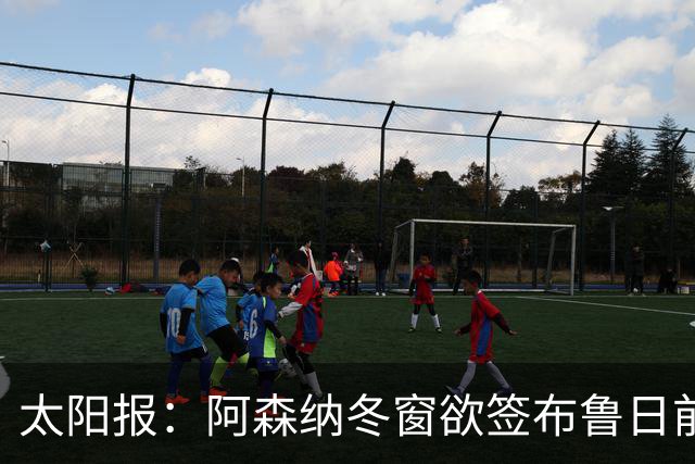 太阳报：阿森纳冬窗欲签布鲁日前锋特雷索尔迪，AC米兰成最大劲敌