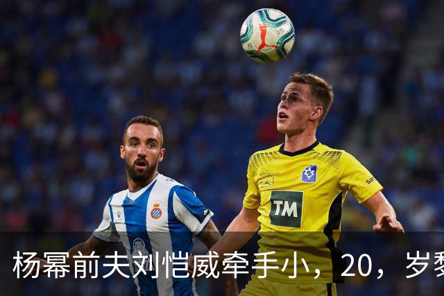 杨幂前夫刘恺威牵手小，20，岁黎纪君，女方，“忠诚”，小作文翻车